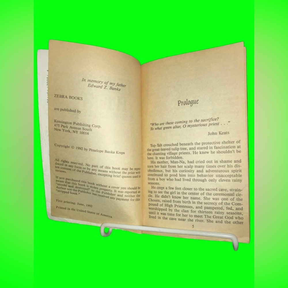 GUC RARE Vintage Horror Novel: “Demon's Fright” First Print Edition (1992) - Picture 6 of 10